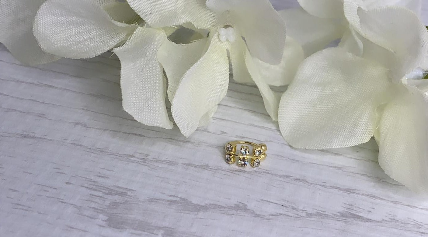 Adjustable Nose rings