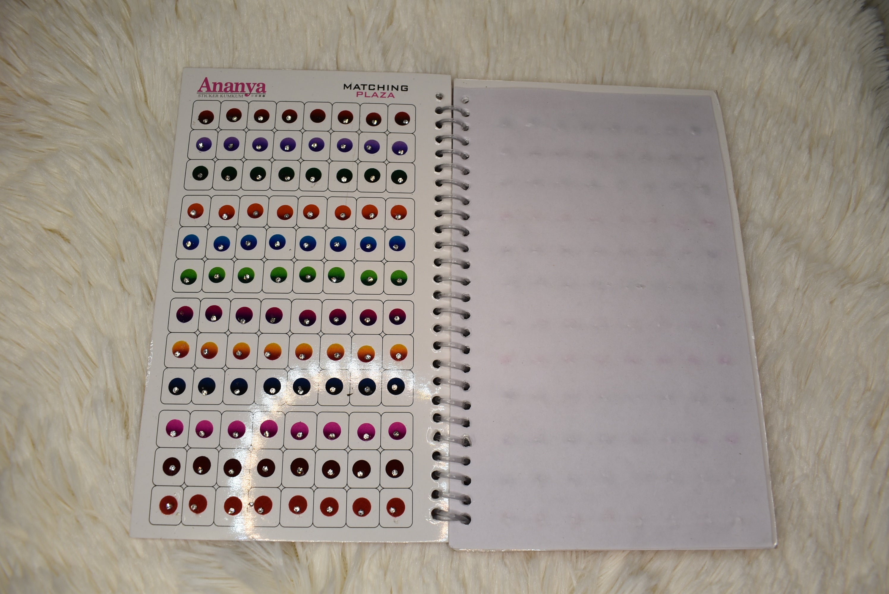 Bindi Book - Punjabi Traditions