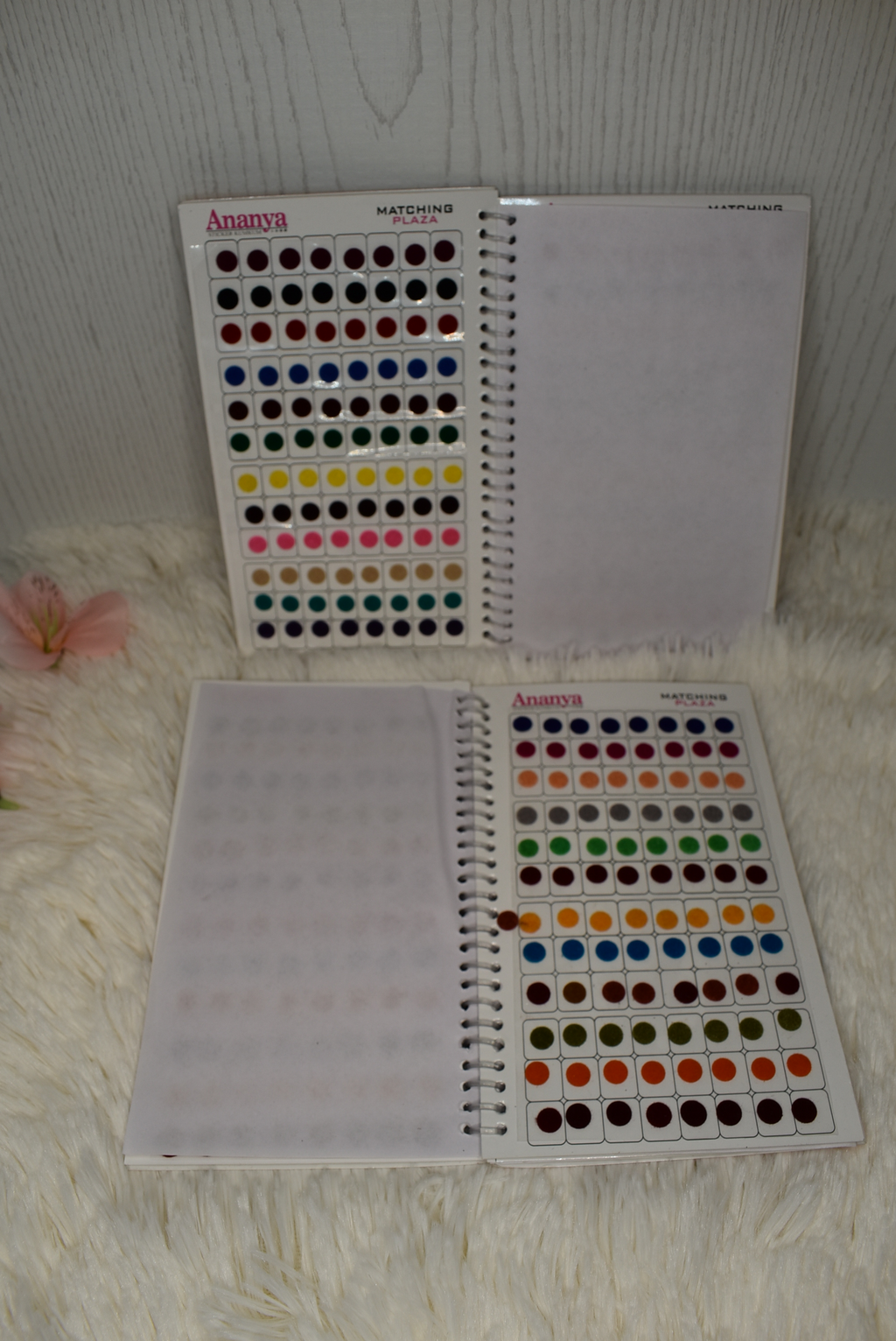 Bindi Book - Punjabi Traditions