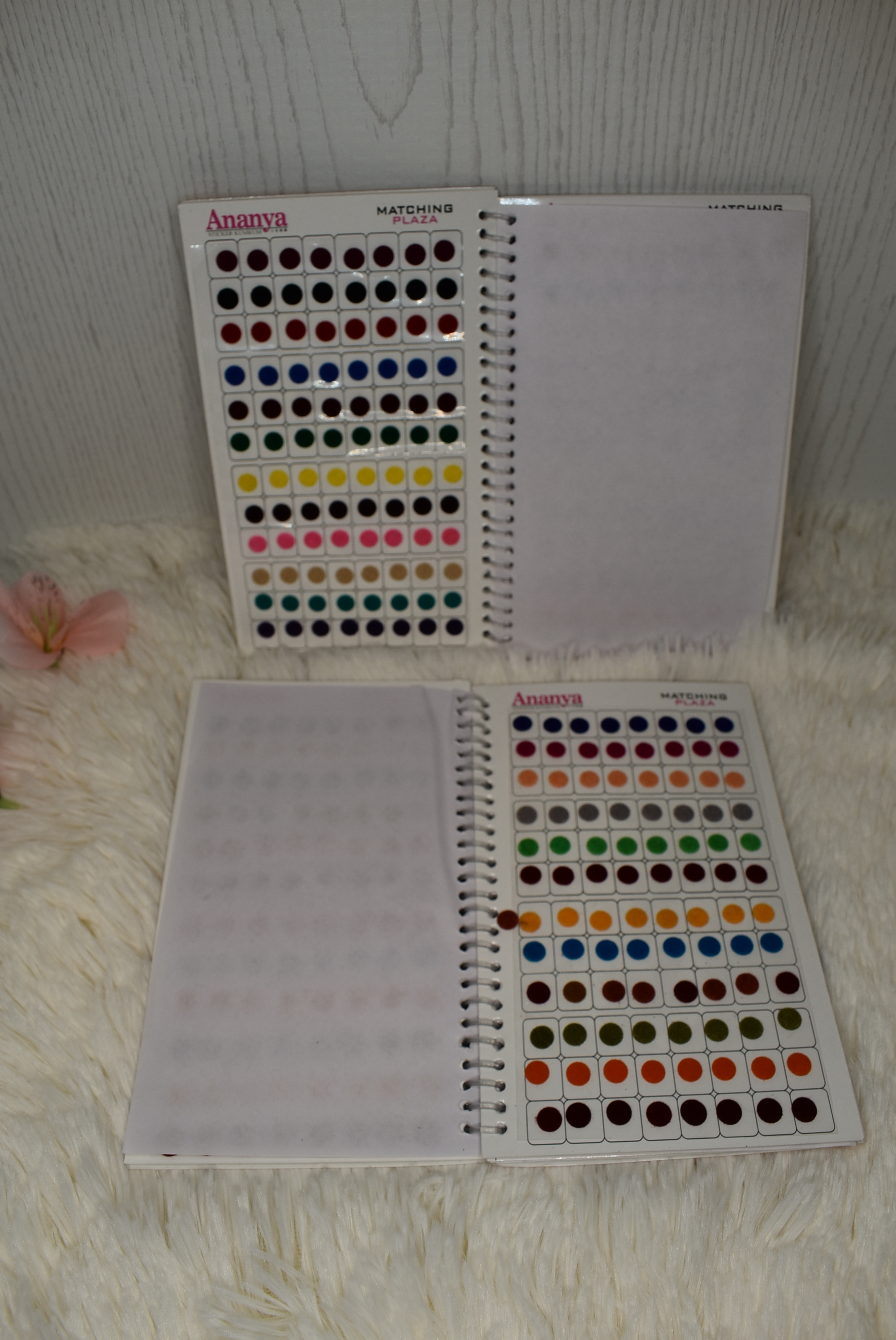 Bindi Book - Punjabi Traditions